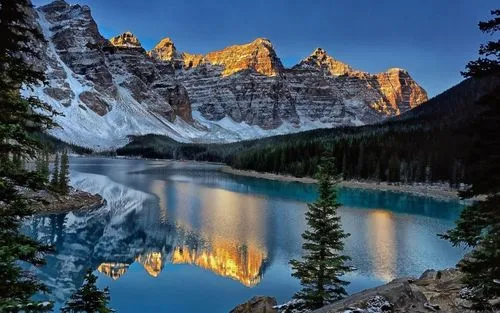 独特智能稳定性